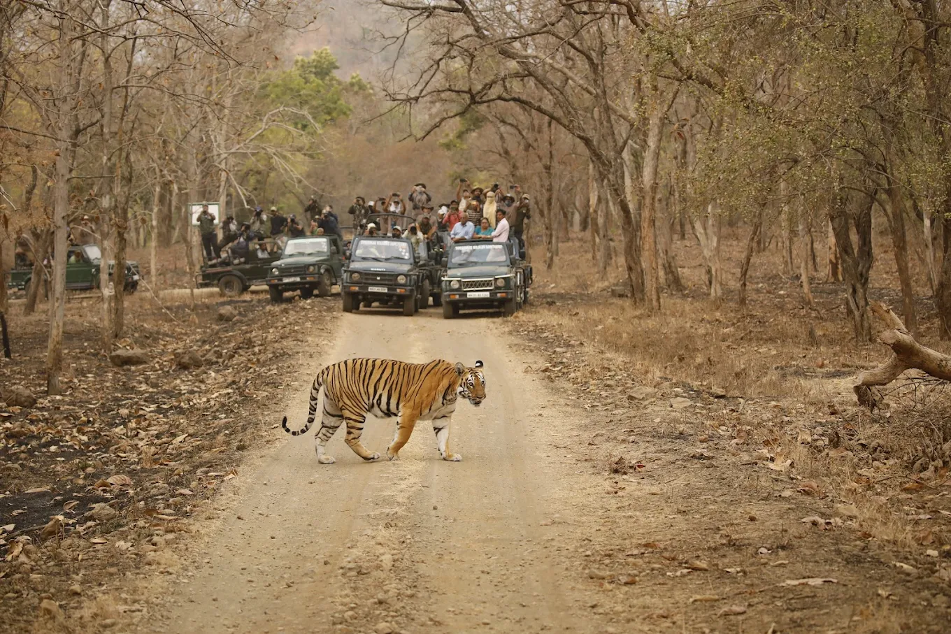 2024-03-11 2024-03-11